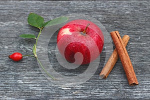 Fresh ripe apple, rose hip, and cinnamon sticks.