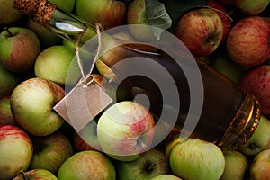 Fresh ripe apples and apple cider vinegar on the table