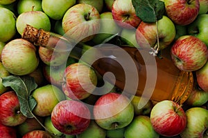 Fresh ripe apples and apple cider vinegar on the table