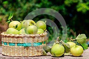 Fresh ripe apples in basket on the rustic wooden table outdoor