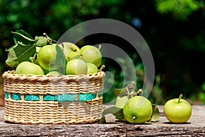 Fresh ripe apples in basket on rustic wooden table outdoor