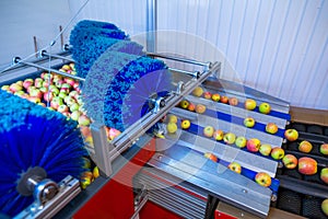 The fresh ripe apples rolling on the modern automatic robotic cl