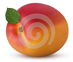 Fresh ripe apricot with leaf