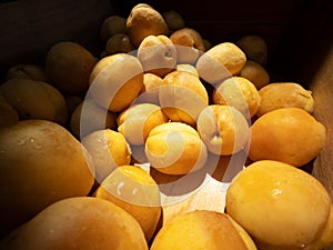 Fresh ripe apricots in plastic boxes at the local farmer market