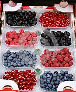 Fresh ripe berries for sale