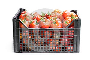 Fresh ripe big tomatoes in plastic crate isolated on white