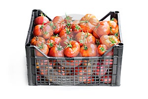 Fresh ripe big tomatoes in plastic crate isolated on white