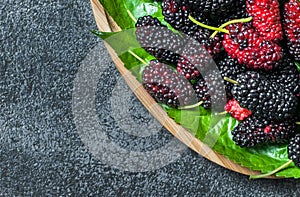 Fresh ripe black mulberry berry fruit with leaf on grey rustic table