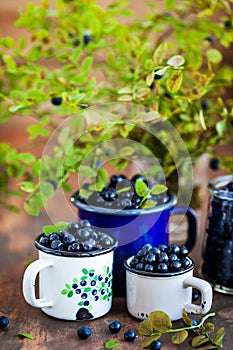 Fresh ripe bluberries bilberries in enamel mugs