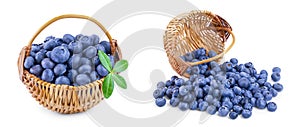 fresh ripe blueberry in a wicker basket isolated on white background