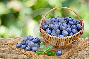 Fresh ripe blueberry in wicker basket on the old wooden table with blurred garden background