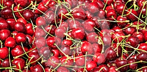 Fresh ripe cherries background