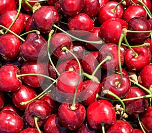 Fresh ripe cherries background