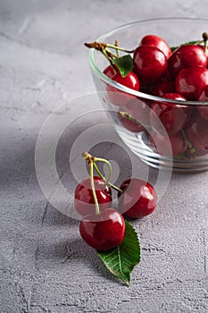 Fresh ripe cherry branch near to cherries with green leaves in glass bowl, summer vitamin berries on grey stone background
