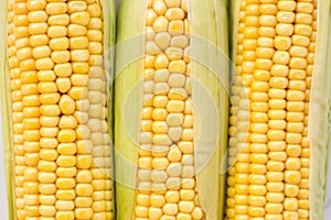 Fresh ripe corn