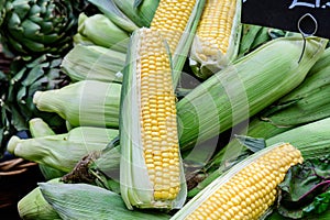 Fresh ripe fresh organic green yellow sweet corn displayed for sale at a street food market, side view of healthy vegan food photo