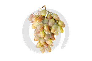 Fresh ripe grape isolated on white