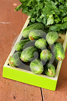 Fresh ripe green cucumbers