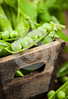 Fresh ripe green peas