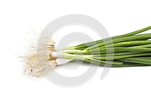 Fresh ripe green spring onions shallots or scallions on white background