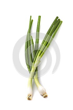Fresh ripe green spring onions shallots or scallions on white background