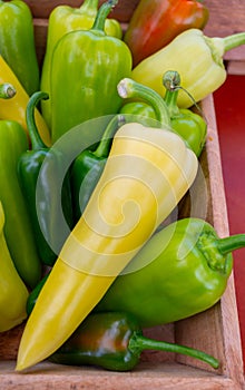 Fresh ripe green, yellow sweet paprika pepper close up