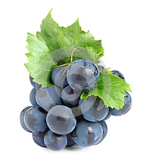 Fresh ripe juicy black grapes on white