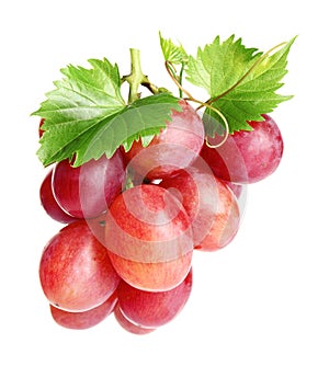 Fresh ripe juicy pink grapes on white