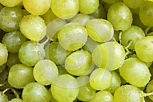 Fresh ripe juicy white grapes as background