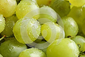 Fresh ripe juicy white grapes as background