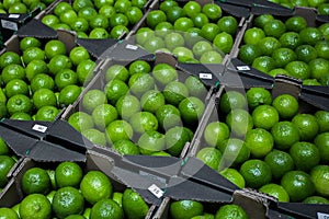 Fresh ripe limes in cardboard boxes at an open-air vegetable market. wholesale. Background from plums. selective focus