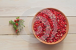 Fresh ripe  lingonberry cowberry , partridgeberry, foxberry in clay bowl on rustic wooden table top view