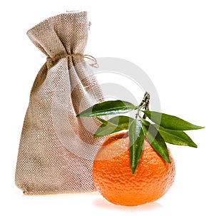 Fresh ripe mandarin fruit isolated on white with bag in background