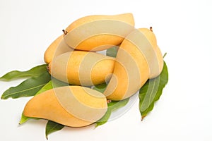 Fresh Ripe Mangoes with green leaves