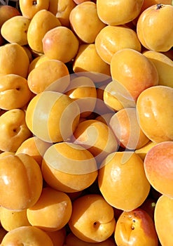 Fresh ripe mellow apricots background