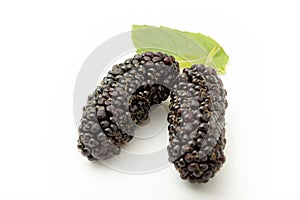 Fresh and ripe mulberries