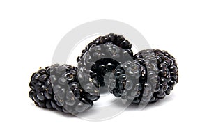 Fresh ripe mulberry on a white