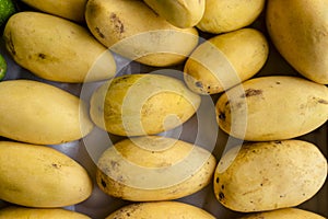 Fresh and ripe native Carabao Mangoes, on display and for sale at a local market store