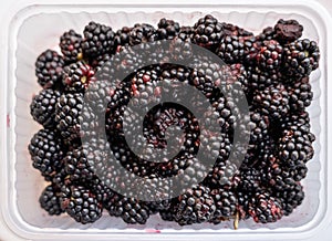 Fresh and ripe natural looking blackberries.