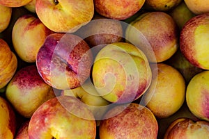 Fresh ripe nectarines for sale