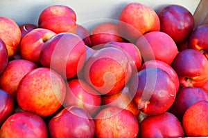 Fresh and ripe nectarines