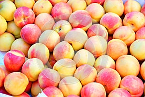 Fresh and ripe nectarines