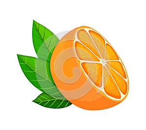 Fresh ripe orange. Half fruit with leaves. Vector illustration in a flat style