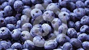 Fresh and ripe organic Blueberries Rotating. Diet, dieting, healthy vegan food.