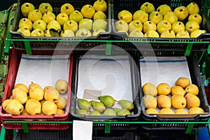 Fresh ripe organic fruits displayed for sale at a street food market in Bucharest, Romania, green and yellow apples, pears and qui