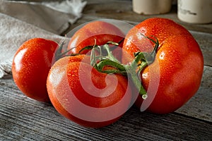 Fresh Ripe Organic Tomatoes