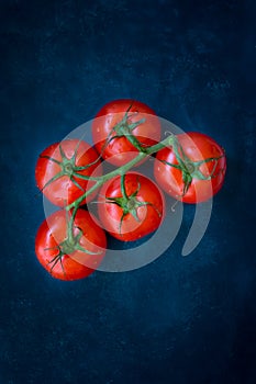 Fresh ripe organic tomatoes on a vine on dark blue background, styled food photography, copyspace, top view