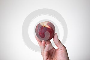 Fresh ripe peach held in hand by Caucasian male hand. Close up studio shot, isolated on a white background