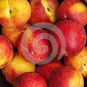 Fresh ripe peaches closeup