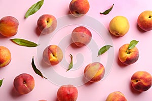 Fresh ripe peaches and green leaves on pink background, flat lay